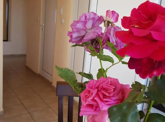 Гостевой дом Sunny Island 2*